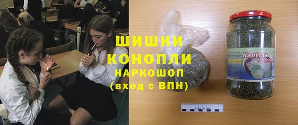 шишки Богородск