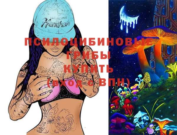 экстази Богданович