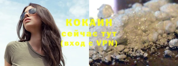 хмурый Белокуриха