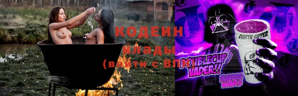 шишки Богородск