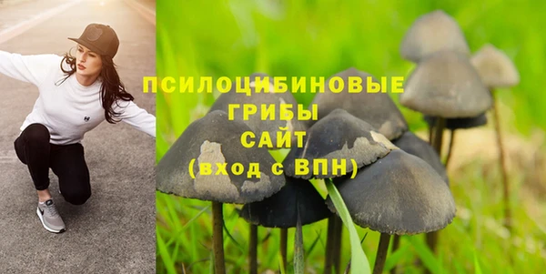 круглые Богородицк