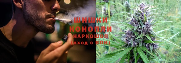хмурый Белокуриха