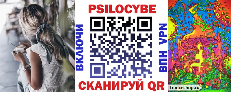 Псилоцибиновые грибы Psilocybine cubensis  Будённовск 